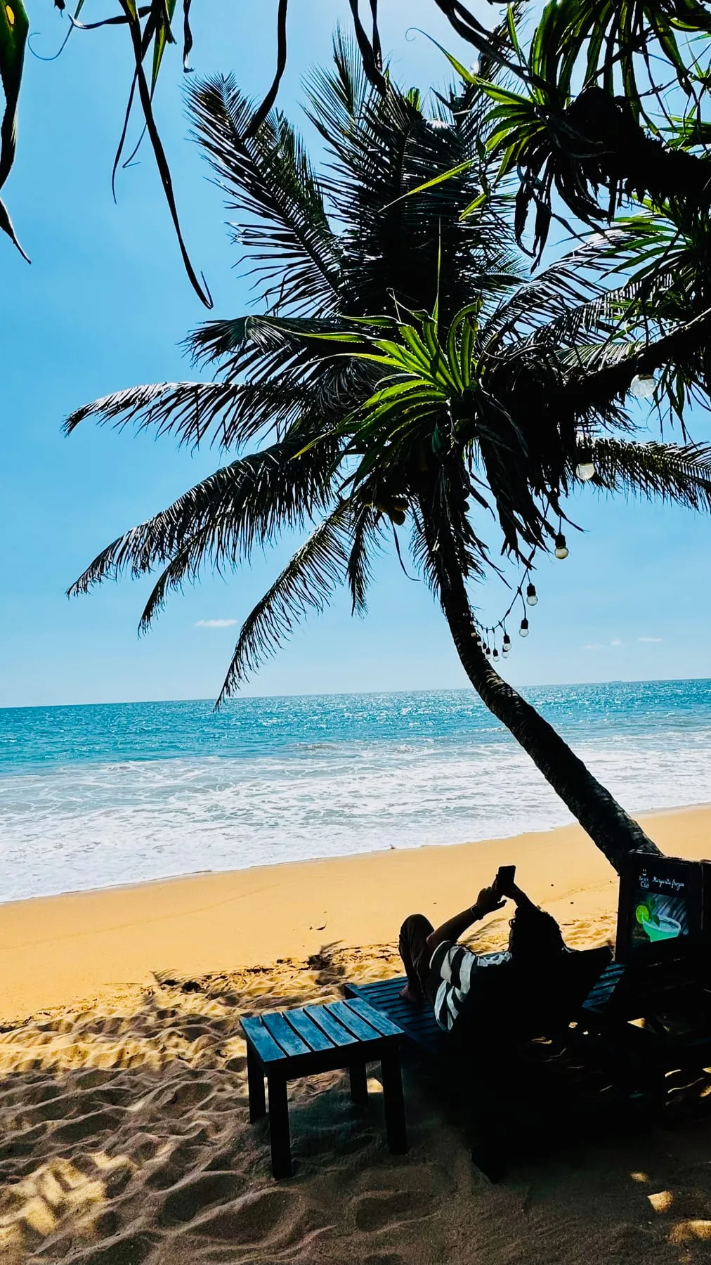 palm shade on the sand